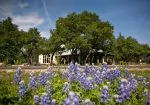 Spicewood Vineyards - Lake Travis Vineyard & Winery