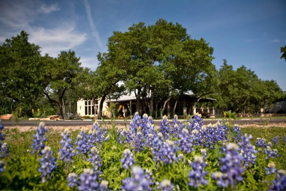 Spicewood Vineyards - Lake Travis Vineyard & Winery