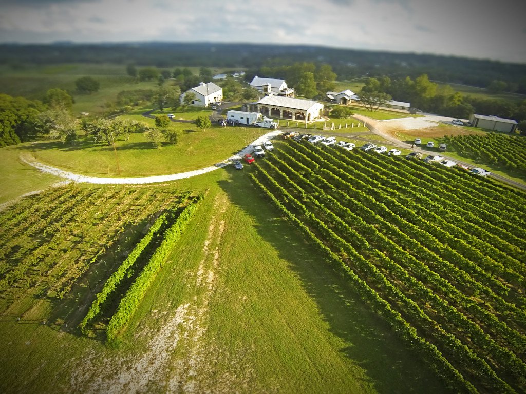 Flat Creek Estates - Lake Travis Vineyard