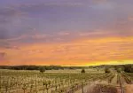 Spicewood Vineyards - Lake Travis Vineyard & Winery