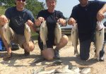 Barefoot Fishing Tours - Lake Travis Fishing Guide