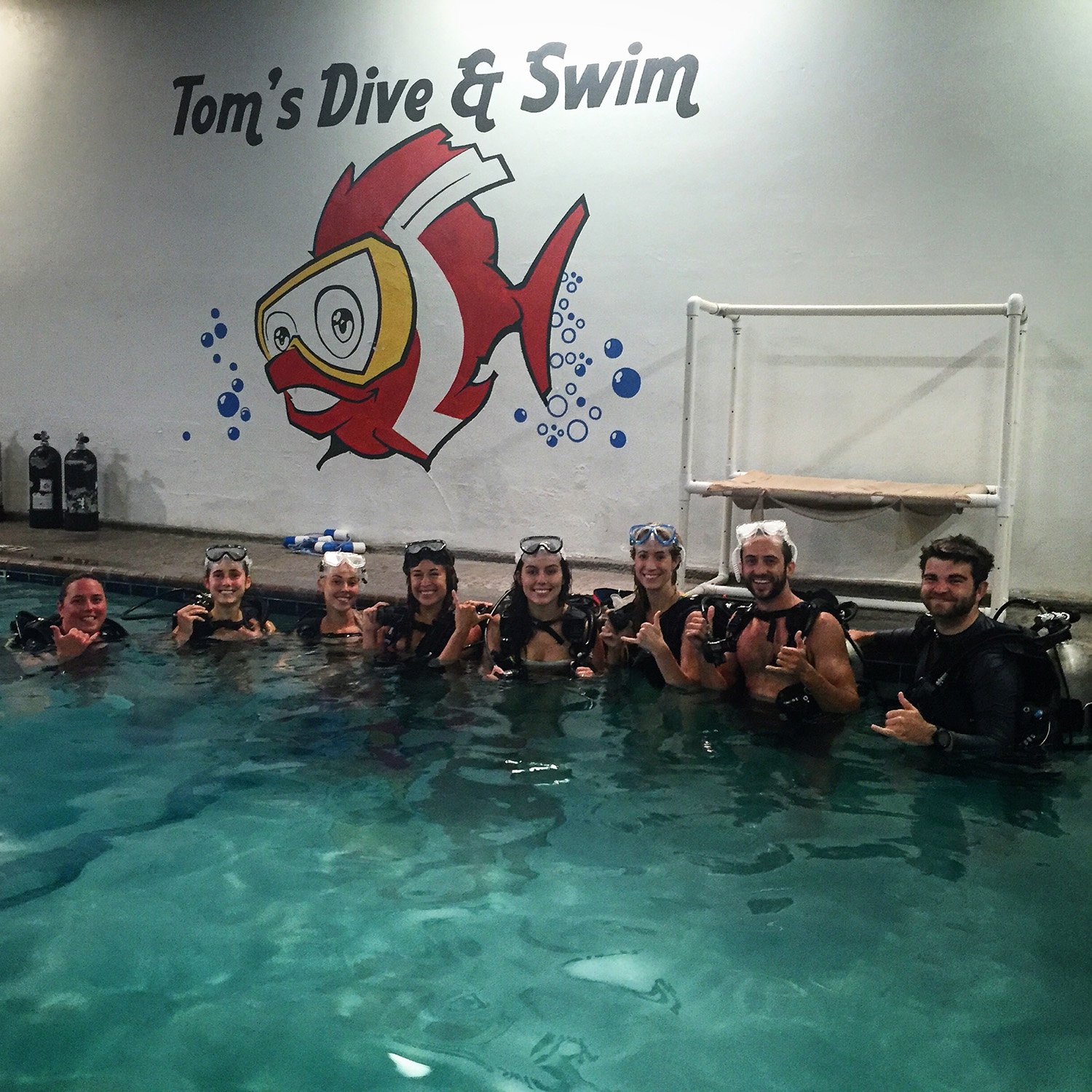 Tom's Dive & Swim - Lake Travis Diving