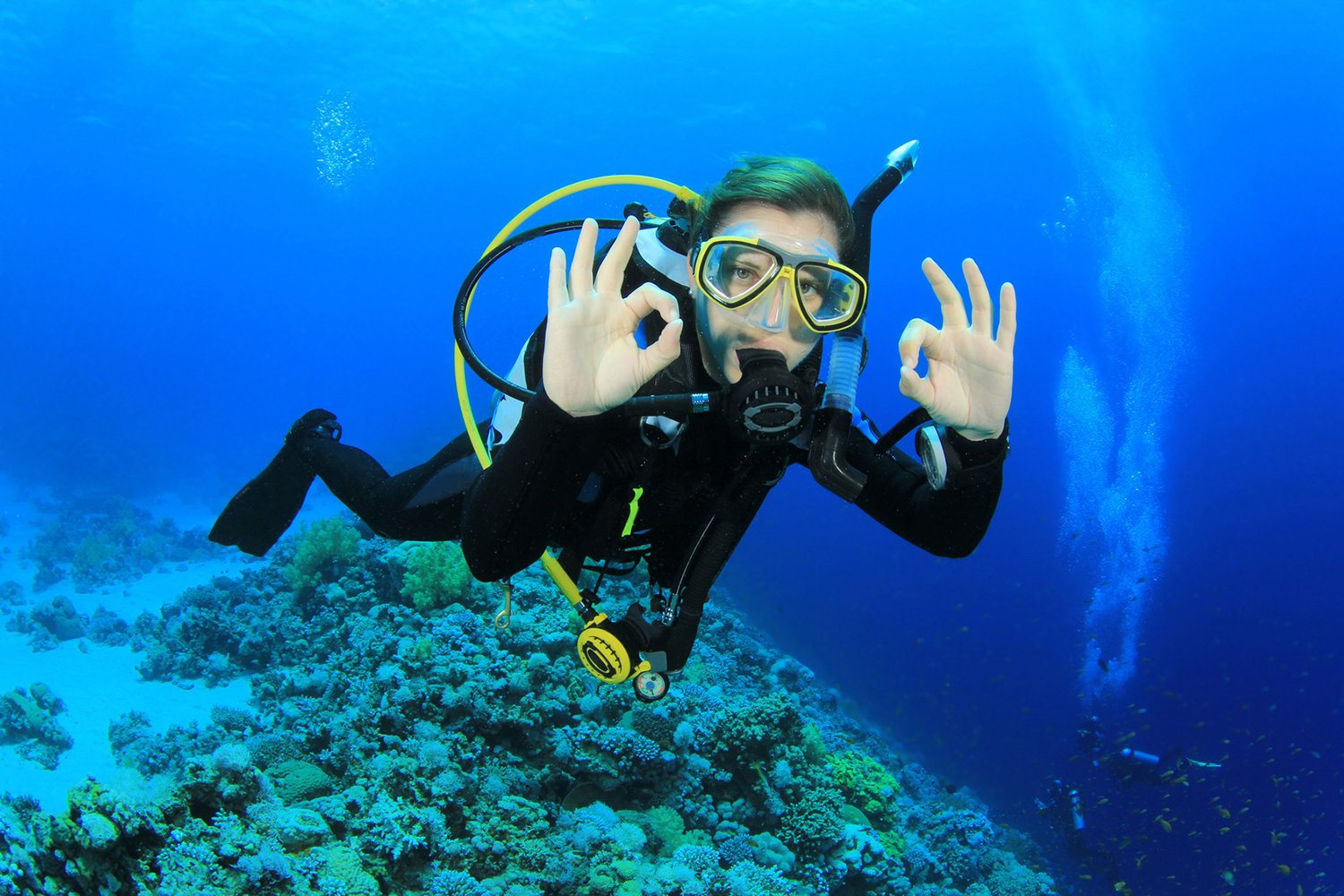 Tom's Dive & Swim - Lake Travis Diving