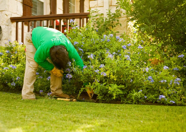 top-choice-lawn-care-laketravis