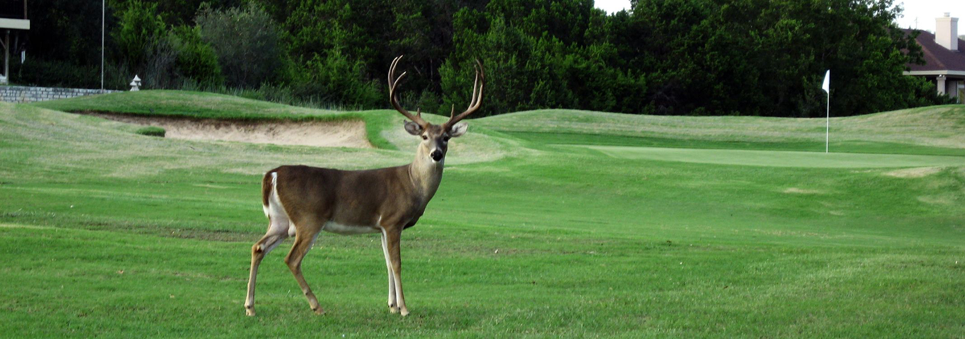 Lago Vista Golf Course - Golfing on Lake Travis