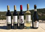 El Gaucho - Lake Travis Winery