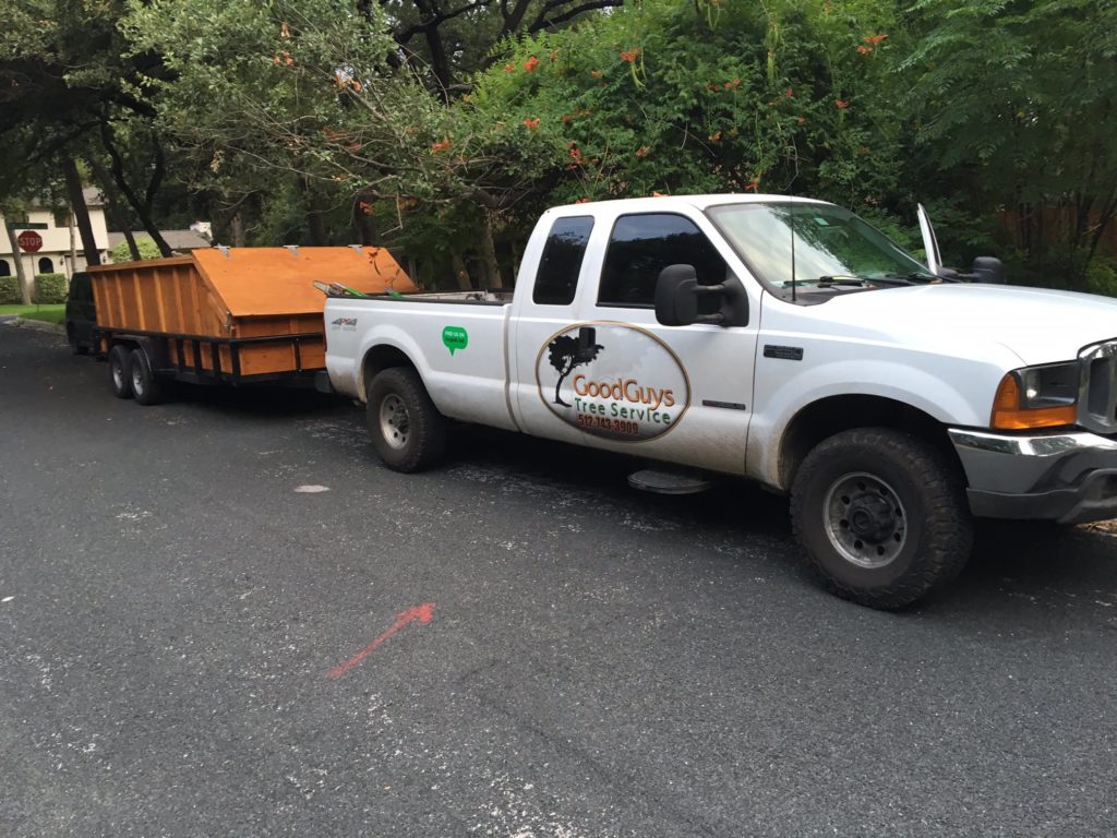 Good Guy Tree Service - Lake Travis Tree Trimming & Service