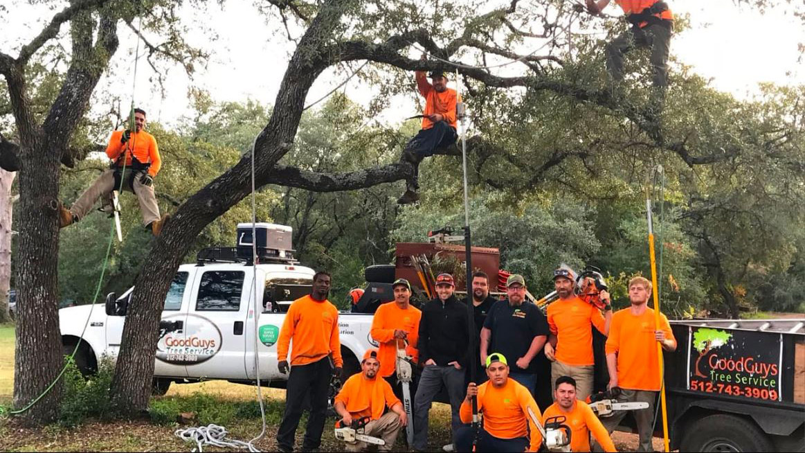 Lake Travis Tree Trimming