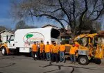 Good Guy Tree Service - Lake Travis Tree Trimming & Service