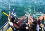 Lone Star Party Boats - Lake Travis Party Boat Yacht Rental