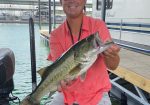 Torwick's Lake Travis Fishing Guiding Service