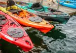 Austin Paddleboard & Kayak