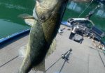 Central Texas Fishing Guide - Lake Travis Fishing Guide Service
