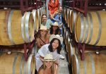 Hill Country Wine Tours - Texas Hill Country Wine Brewery & Distillery Tours