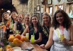 Texas Tipsy Tours - Texas Hill Country Tours
