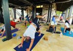 Nectar Flow Yoga - Spicewood Texas Yoga Studio