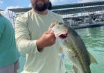 Bass Tours ATX - Lake Travis Fishing Guide